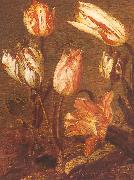 Jacob Gerritsz Cuyp Tulip Field oil painting reproduction